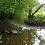 Eifelcottage Stork's Nest Ulmen