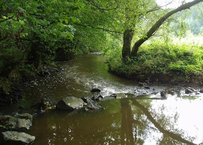 Eifelcottage Stork's Nest 乌尔门