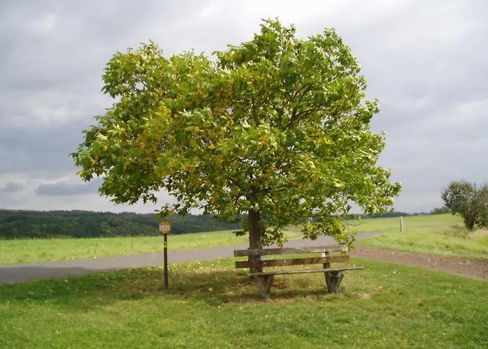 Eifelcottage Stork's Nest 度假居 *